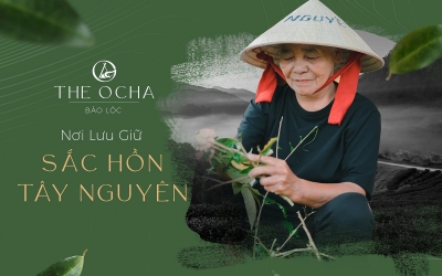 The Ocha Villa – Biệt thự nghỉ dưỡng Làng Chè